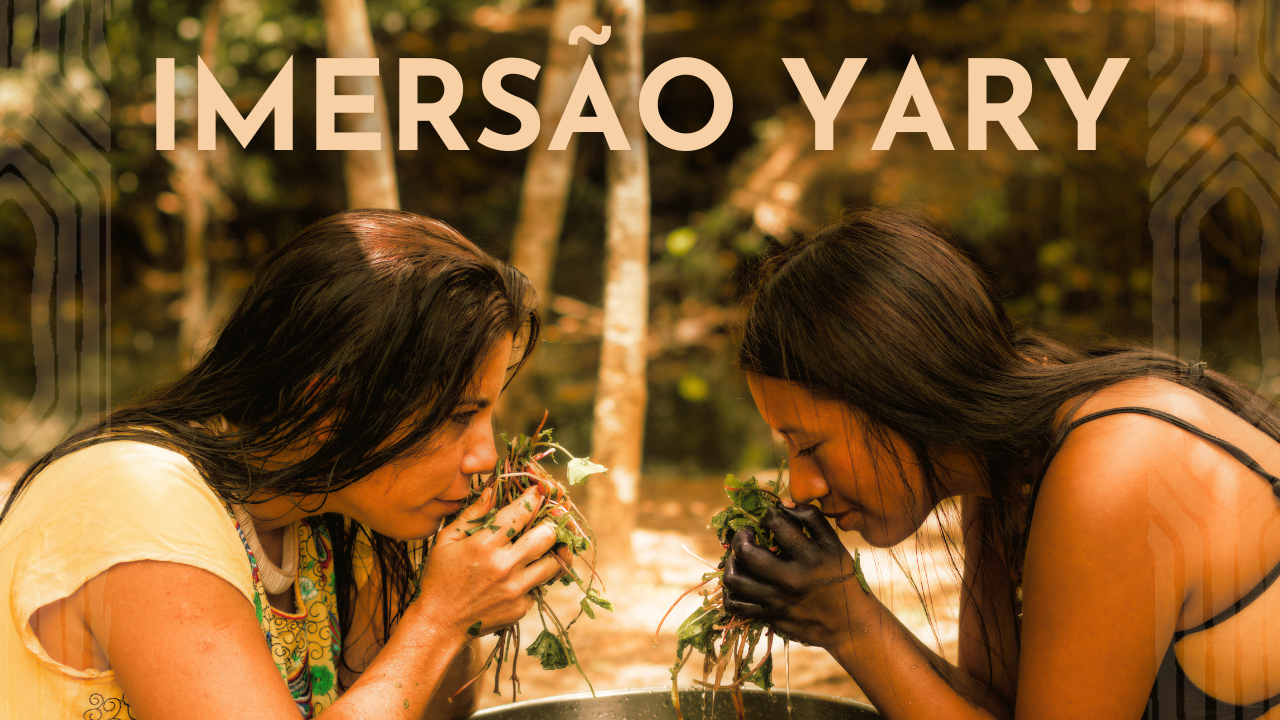 Thumbnail-para-YouTube-Cachoeiras-do-Brasil-com-Foto-18